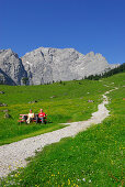 path in alpine pasture leading towards mountain range with elderly couple on bench, Eng, Enger Alm, Karwendel range, Tyrol, Austria