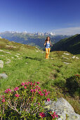 Frau beim Wandern, Stubaier Alpen im Hintergrund, Zinseler, Alta Badia, Südtirol, Italien