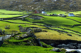 Rural landscape with farmhouses in the Ring of Beara, near Allihies, Co. Cork, Ireland, Europe