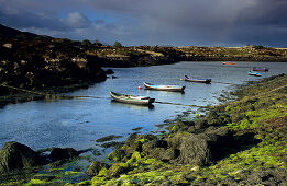 Landscape near Carna at low tide, Connemara, Co. Galway, Ireland, Europe