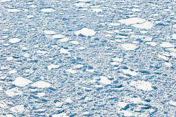 Eisschollen auf  dem Pazifik im Sonnenlicht, Hokkaido, Japan, Asien