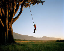Girl on swinging rope at a giant tree at sunset, West coast, South Island, New Zealand