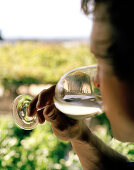 Weinprobe, ein Mann trinkt aus einem Weinglas, Black Barn Vineyards, Havelock North, Hawke´s Bay, Nordinsel, Neuseeland