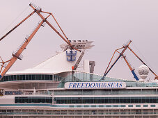 Cruise Ship Freedom of the Seas in the shipyard, Hanseatic City of Hamburg, Germany