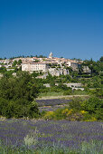 Blühendes Lavendelfeld vor dem Dorf Sault, Vaucluse, Provence, Frankreich