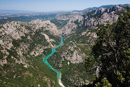 Grand Canyon du Verdon, Blick auf die Verdonschlucht und den Fluss Verdon, Alpes-de-Haute-Provence, Provence, Frankreich