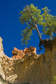 Colorado Provencal, Ockerfelsen unter blauem Himmel, Rustrel, Vaucluse, Provence, Frankreich