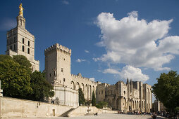 Blick auf den Papstpalast in Avignon, Vaucluse, Provence, Frankreich