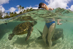 Gruene Meeresschildkroeten und Touristin, Chelonia mydas, Oahu, Pazifik, Hawaii, USA