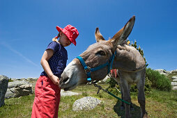 Girl feeds a donkey, family-hiking with a donkey in the Cevennes mountains, France