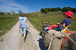 Little girl is sitting on a donkey, donkey-hiking in the Cevennes mountains, France