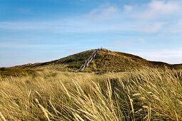 Uwe-Dune, Kampen, Sylt Island, North Frisian Islands, Schleswig-Holstein, Germany