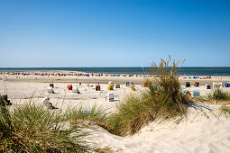 Beach Chairs on the Beach near Norddorf, Amrum, Island, North Frisian Islands, Schleswig-Holstein, Germany