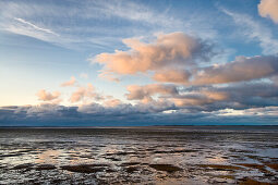 Wadden Sea, Amrum, Island, North Frisian Islands, Schleswig-Holstein, Germany