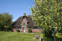 Museum Oeoemrang Hus, Nebel, Amrum Island, Schleswig-Holstein, Germany