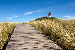 Quermarkenfeuer in den Dünen, Norddorf, Amrum, Schleswig-Holstein, Deutschland