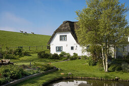 Thatched house at dike, Pellworm island, Schleswig-Holstein, Germany