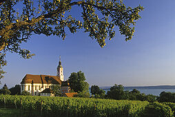 Branch of an apple tree and pilgrimage church of Birnau abbey in the sunlight, Lake Constance, Baden Wurttemberg, Germany