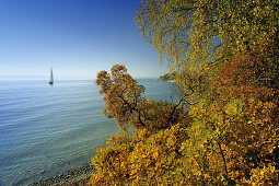 Autumn scenery at Lake Constance, near Hagnau, Baden-Wurttemberg, Germany