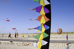 Kites at the beach, St. Peter-Ording, Schleswig-Holstein, Germany