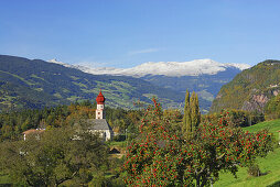 Blick übers Eisacktal mit Apfelbaum und Kirchturm, Dolomiten, Südtirol, Italien
