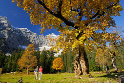 Paar wandert zwischen herbstlich verfärbten Ahorn mit Blick zur Birkkarspitze, Kleiner Ahornboden, Karwendel, Tirol, Österreich