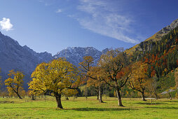 Großer Ahornboden im Herbst, Karwendel, Tirol, Österreich