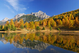 Larches in autumn colours with view to Piz Lischana and Piz San Jon and reflections in mountain lake, Unterengadin, Engadin, Grisons, Switzerland