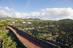 Pico Island Vineyard Culture Unesco Heritage Site, Pico Island, Azores, Portugal