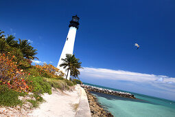 Der Kap Florida Leuchtturm unter blauem Himmel, Bill Baggs State Park, Key Biscayne, Miami, Florida, USA