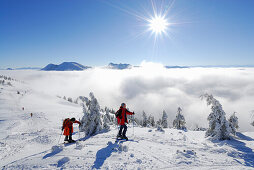 Backcountry skier ascending Jaegerkamp, Spitzing, Bavarian foothills, Bavaria, Germany