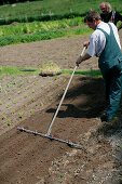 Landwirt bereitet Boden zum Sähen vor, biologisch-dynamische Landwirtschaft, Demeter, Niedersachsen, Deutschland