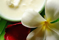 Detail of the spa at Amandari Resort, Yeh Agung valley, Bali, Indonesia, Asia