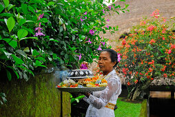 Ältere Frau mit Opfergabe im Garten des Amandari Hotel, Yeh Agung, Bali, Indonesien, Asien