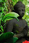 Buddha Figur vor grünen Pflanzen, Ubud, Zentral Bali, Indonesien, Asien