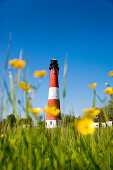 Lighthouse and flowers, Pellworm Island, North Frisian Islands, Schleswig-Holstein, Germany