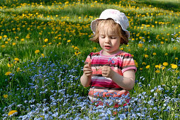 Little girl on a flower meadow, South Tyrol, Italy, Europe