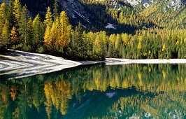 Pragser Wildsee und Spiegelung, Dolomiten, Südtirol, Italien