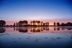 Sunrise at Lake Millinger, old arm of Rhine river, near Rees, Lower Rhine, North Rhine-Westphalia, Germany