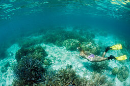 Korallenriff und Schnorchlerin, Mikronesien, Palau