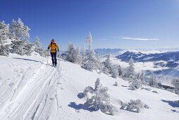 Skitourgeherin an der Lacherspitze, Mangfallgebirge, Bayerische Alpen, Oberbayern, Bayern, Deutschland