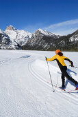 Frau beim Langlaufen, Schluderbach, Cristallo, Dolomiten, Venetien, Italien