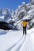 Woman cross-country skiing near Schluderbach, Cristallo range, Dolomites, Veneto, Italy