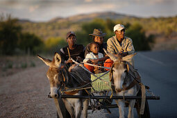 Family on a cart pulled by a donkey, Windhoek, Namibia, Africa