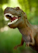 Toy tyrannosaurus rex, detail