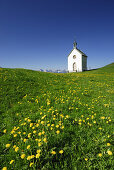 Kapelle in Löwenzahnwiese, Allgäu, Bayern, Deutschland