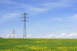 Electricity pylons in meadow with dandelion, near Holzkirchen, Upper Bavaria, Bavaria, Germany