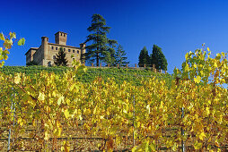 Weinberg und das Castello Grinzane Cavour unter blauem Himmel, Piemont, Italien, Europa