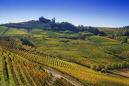 Weinberge unter blauem Himmel, Piemont, Italien, Europa