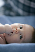 Baby (8 Monate) mit Finger im Mund blickt in die Kamera, Wien, Österreich